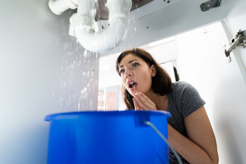 Immediate Plumbing Assistance in Denver, CO