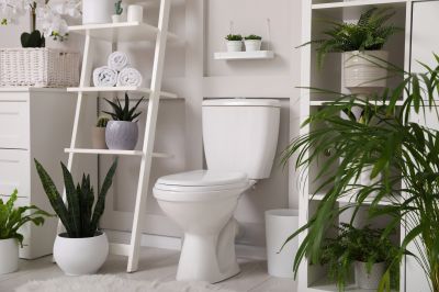 Toilet Repair in Denver, CO